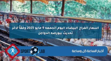 أسعار الفراخ البيضاء اليوم الجمعة 9 مايو 2025 وفقاً لآخر تحديث ببورصة الدواجن